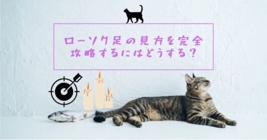 cat-thumbnail-23-jpeg